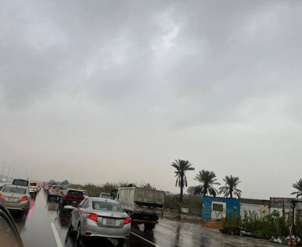 ضباب كثيف وأمطار غزيرة على الشرقية