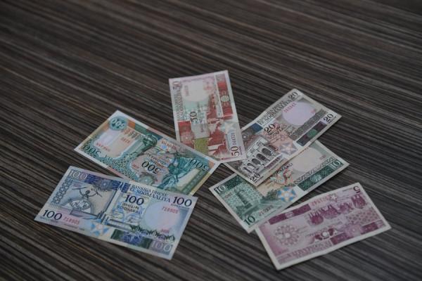 العملة الصوماليىة المتداولة - موقع البنك المركزي الصومالي
