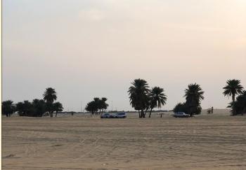الالتزام بالضوابط يحافظ على البيئة - اليوم