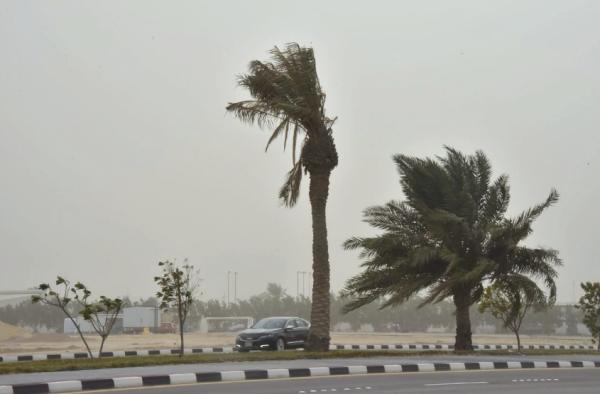 الرياح على جازان - اليوم