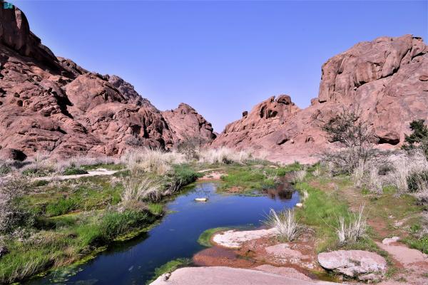 'جب أجا'.. واحة جمالية تأسر الأنظار في حائل