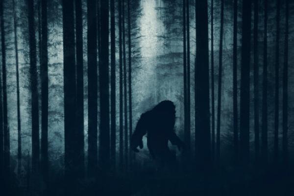 هل يهزم علم البيانات أسطورة الغول ؟