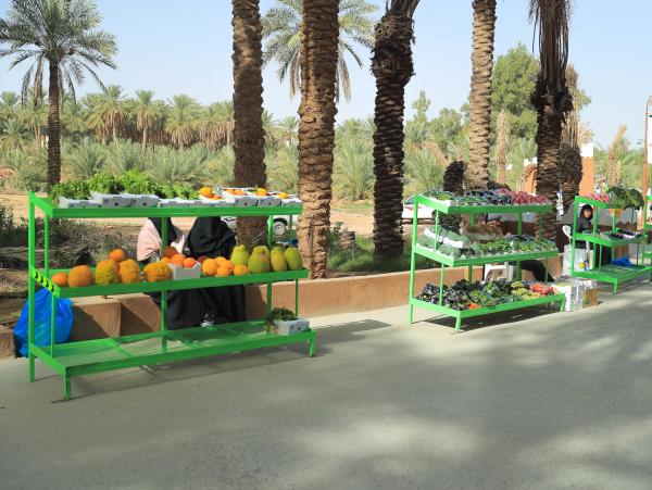 سوق 'فلاليح القصيم' يستقبل الزوار والمهتمين