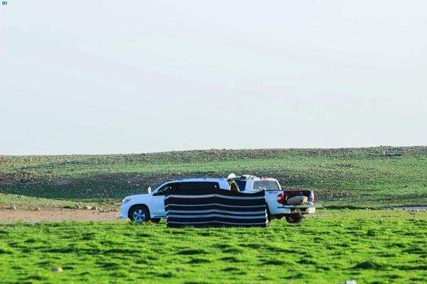 أسرة تتمتع وسط الأجواء الطبيعية واللون الأخضر- واس