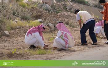 مشاركة عدد من المتطوعين في التشجير ضمن حملة لنجعلها خضراء بمكة المكرمة - المركز الوطني لتنمية الغطاء النباتي ومكافحة التصحر على تويتر