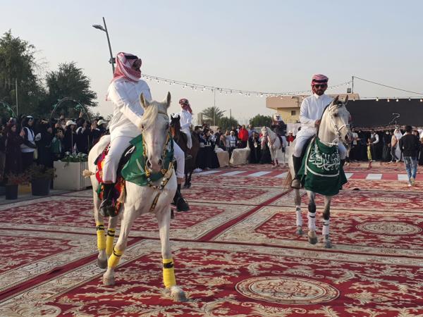 إقبال على عروض الخيل بصفوى - اليوم