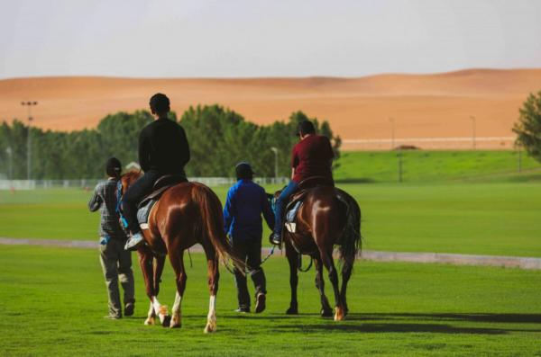 جولة في حديقة نوفا البرية.. سفاري استثنائي على ظهر الخيل
