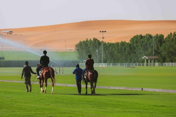 إذا كنت تهوى التصوير أو تبحث عن مغامرة جديدة فبالتأكيد متنزه نوفا للحياة البرية سينال إعجابك - موقع visitsaudi