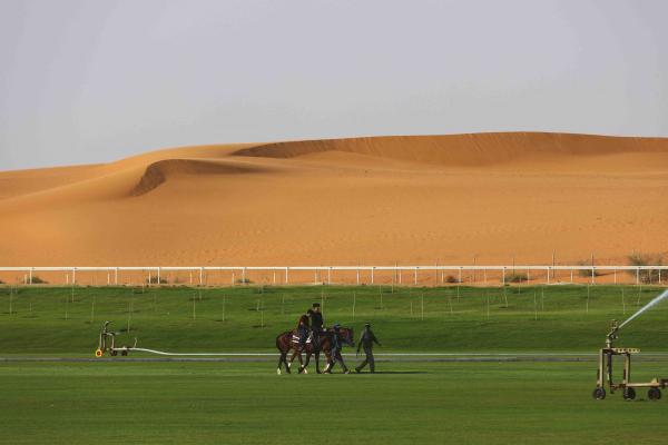 حديقة نوفا للحياة البرية من أفضل الأماكن التي يمكن أن تزورها في الرياض - موقع visitsaudi