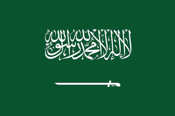 «يوم العلم».. تجسيد العمق التاريخي والوطني للمملكة