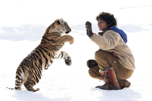 5 أفلام جديدة في السينمات السعودية هذا الأسبوع