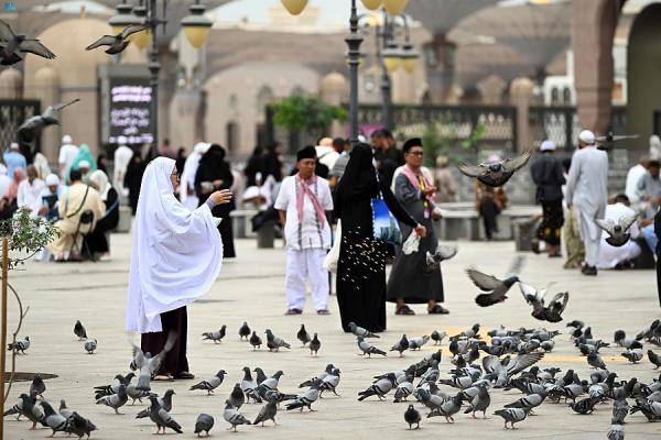 استغلالا للإجازة الدراسية.. تدفق الزوار على المدينة المنورة