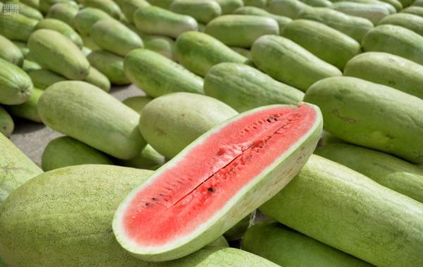 البطيخ الأحمر فاكهة محببة في ظل ارتفاع درجات الحرارة - واس