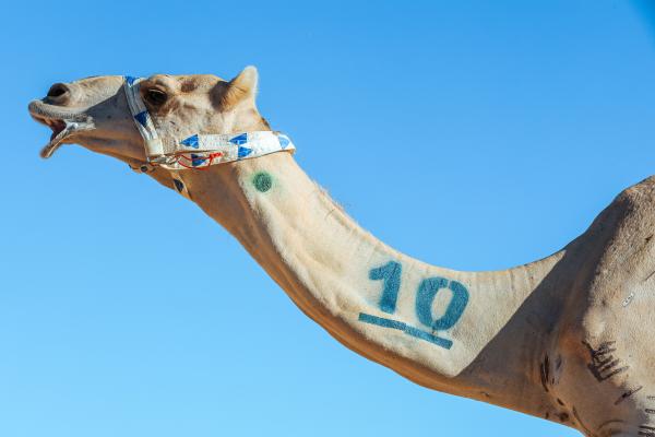 105 مليون القيمة السوقية لختام 