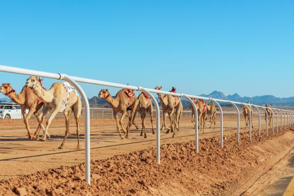 العماني الوهيبي: في العلا تحقق الحلم