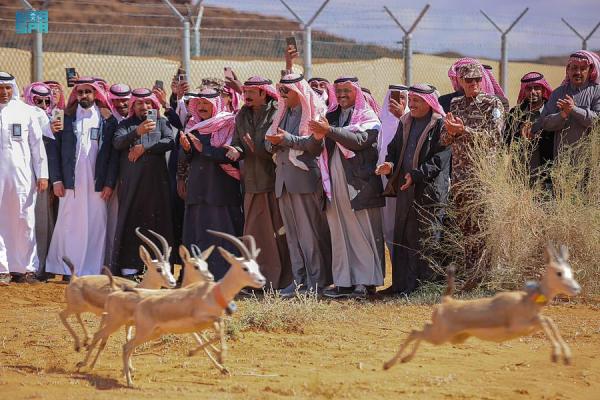 إعادة توطين الحيوانات المهددة بالانقراض - واس