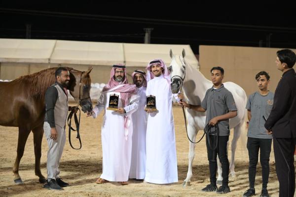 ختام ناجح لبطولة 'طرفة' لجمال الخيل العربية الأصيلة