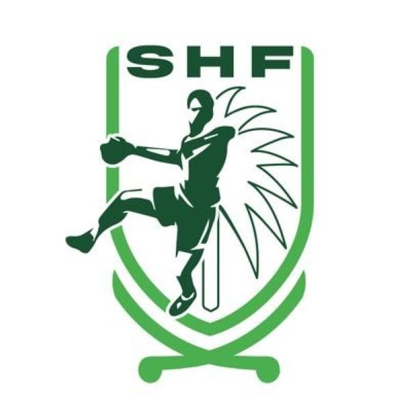 اتحاد اليد ينظم دورة الدراسات الدولية