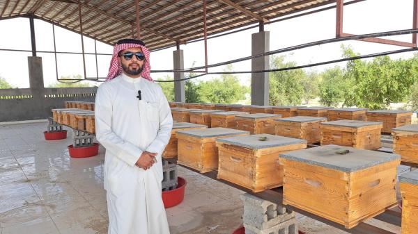 تدريب المزارع في وحدة المنحل على كيفية إنشاء منحل مبسط بكلفه أقل وجودة أعلى- اليوم