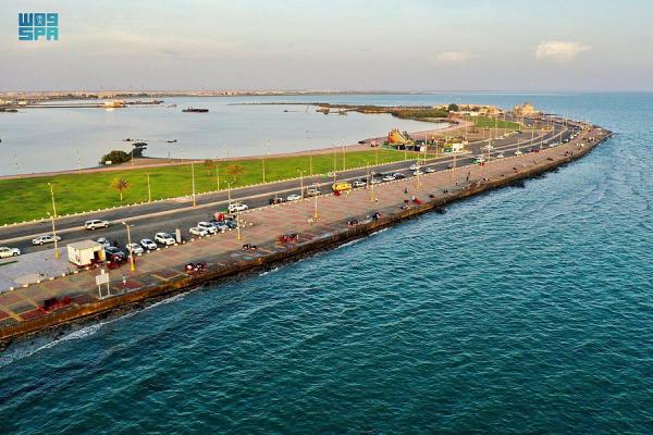 'سيل' تنشئ مركزًا لحماية البيئة في مياه البحر الأحمر والخليج العربي