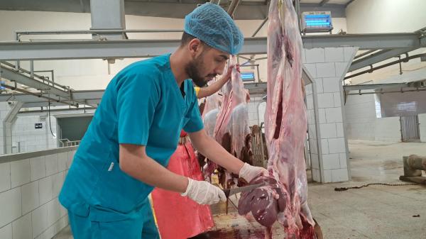 فيديو.. مسالخ الأحساء تتأهب لموسم عيد الفطر 