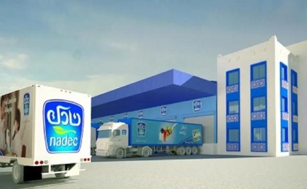 عاملان رئيسيان يقفزان بأرباح «نادك» 149.27 % في 2022