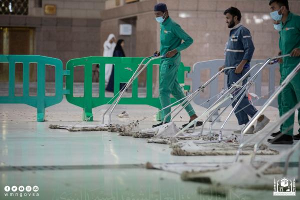 المسجد النبوي: جهود مكثفة على مدار الساعة لمكافحة موجة الحشرات الموسمية