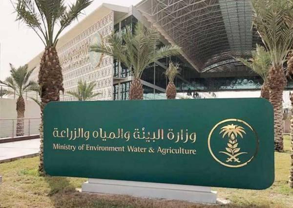 بسبب الآفات.. خسارة 40% من المحاصيل الزراعية عالميا