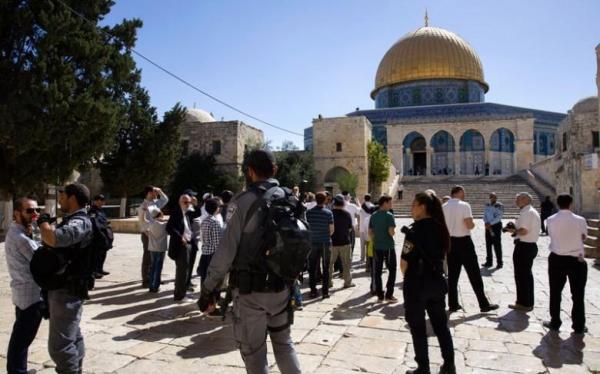 الجامعة العربية تطالب بوقف انتهاكات الاحتلال الإسرائيلي بحق الفلسطينيين - د ب أ