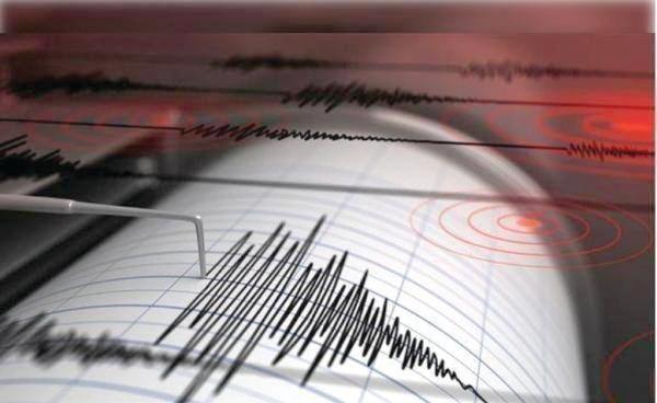 قوة 6.2 درجة.. زلزال يضرب الساحل الجنوبي لنيوزيلندا