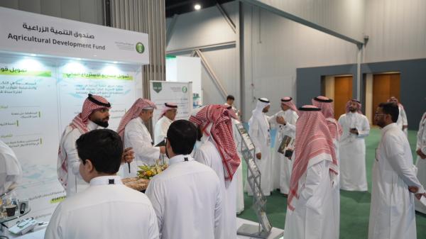 يعتبر البحر الأحمر أحد أفضل البحار بيئة ومناسبة للاستزراع السمكي في العالم - تصوير: مرتضى أبو خمسين