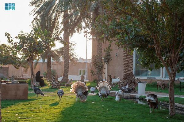  13 فعالية سنويًا في القصيم - واس 