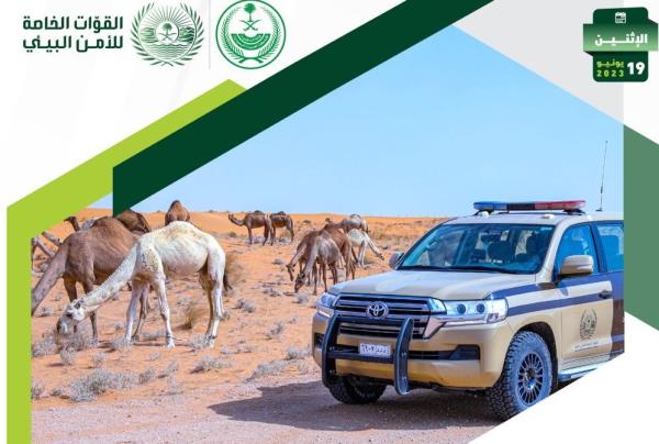 لارتكابهم مخالفات رعي.. ضبط 61 مخالفًا لنظام البيئة