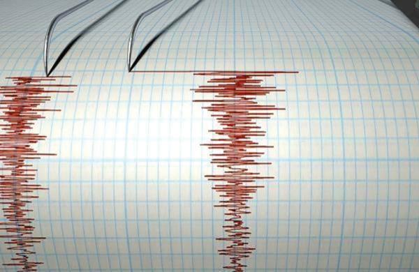 بقوة 5.4 درجة.. زلزال يضرب جزر تونجا جنوب المحيط الهادئ