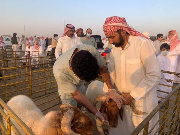 بيئة حفر الباطن تدشِّن حملة 