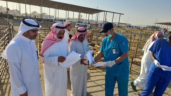 الحملة تشرف على الأضاحي للتأكد من سلامتها وخلوها من الأمراض الوبائية في المسالخ - اليوم