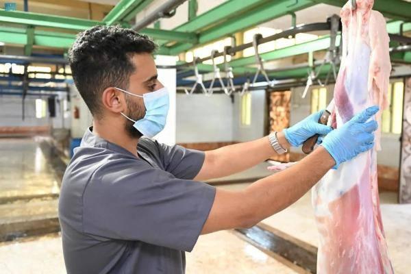 مكة.. إتاحة خدمة ذبح الأضاحي عبر تطبيق 'بلدي'