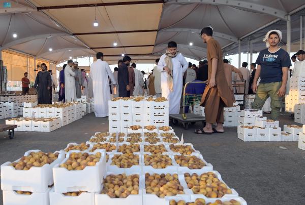 انتعاش موسم الرطب والتمور في المدينة المنورة