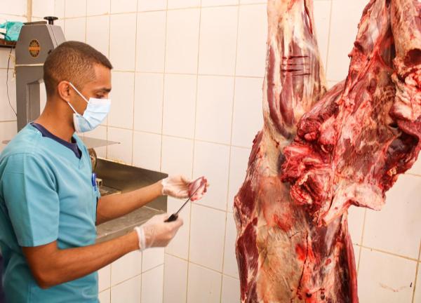 الجولات الرقابية بوسط الدمام، نتج عنها إتلاف 65 كيلو من اللحوم الفاسدة - اليوم