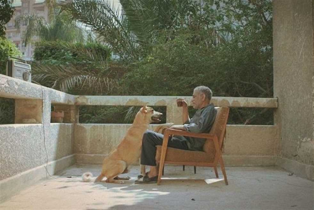 فيلم 19 ب يستعين بـ 12 حيوان أليف- مشاع إبداعي
