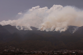 الدخان يتصاعد مع اندلاع حرائق الغابات في جزيرة تينيريفي- رويترز