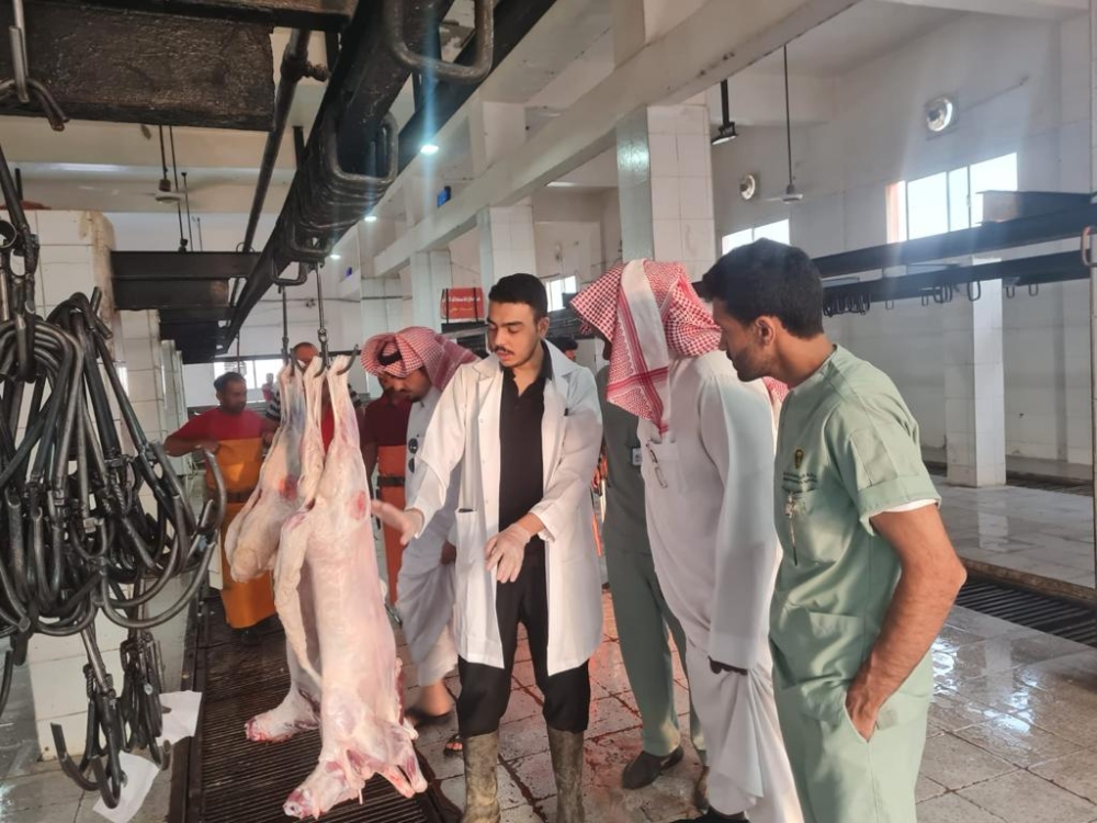 تطوير وتحسين الخدمات البيئية في حفر الباطن 