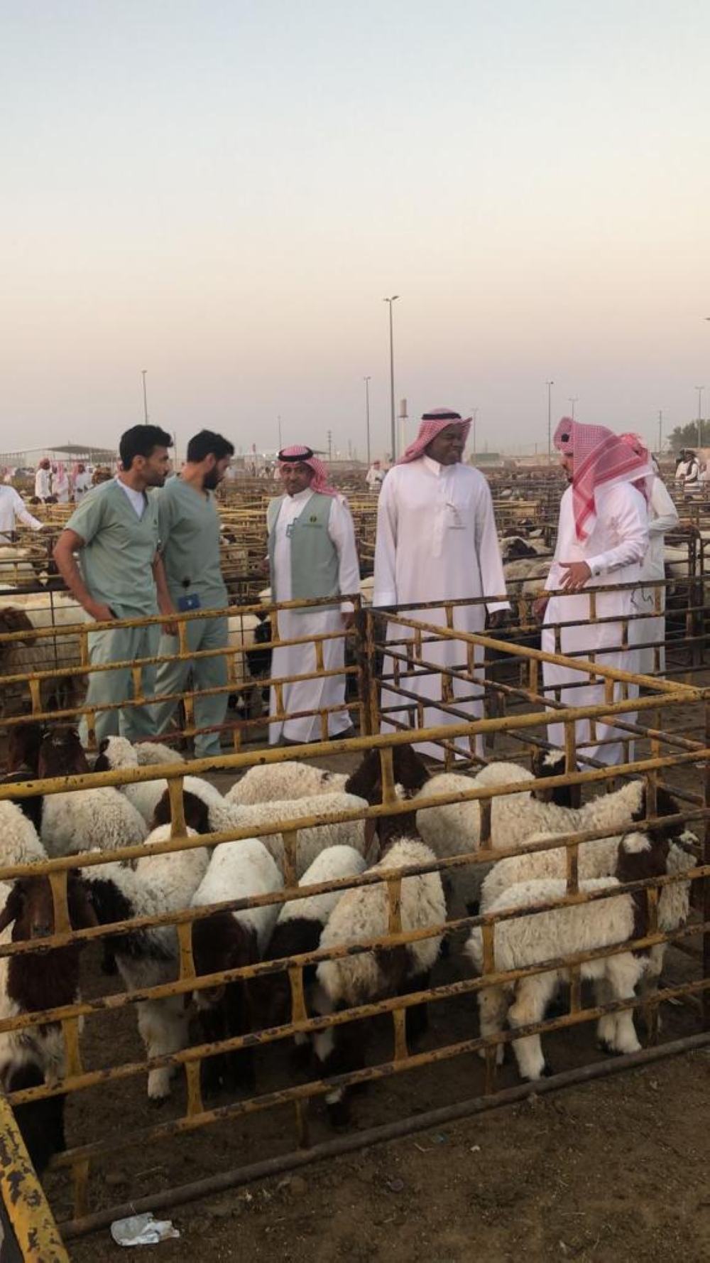 تطوير وتحسين الخدمات البيئية في حفر الباطن - اليوم