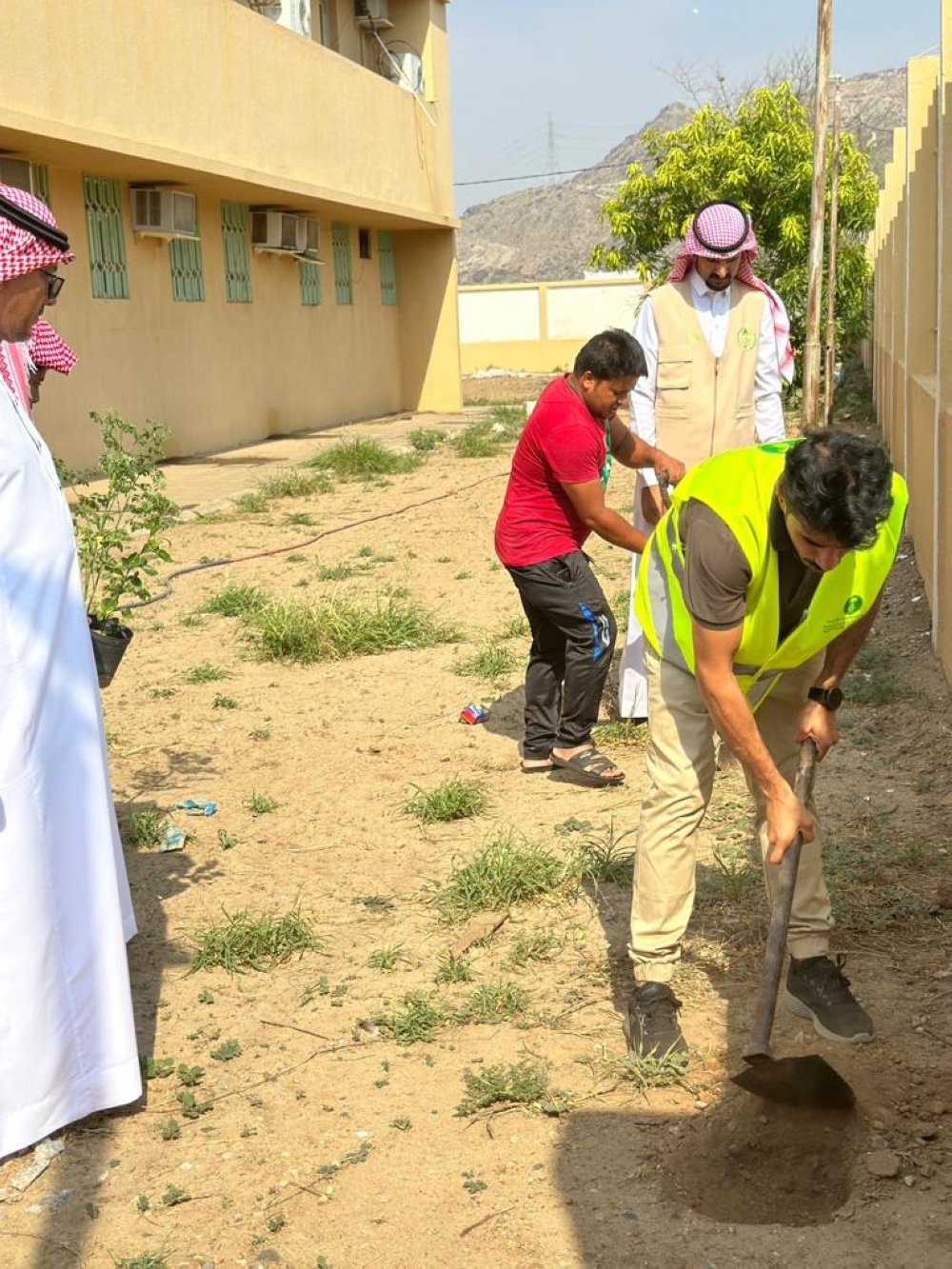 حملة لتشجير المدارس في محافظة العرضيات