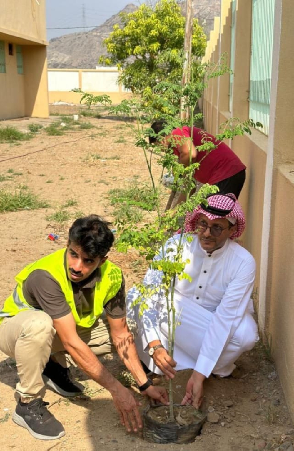 حملة لتشجير المدارس في محافظة العرضيات