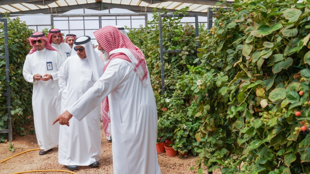 متابعة تشغيل وصيانة السدود في عسير
