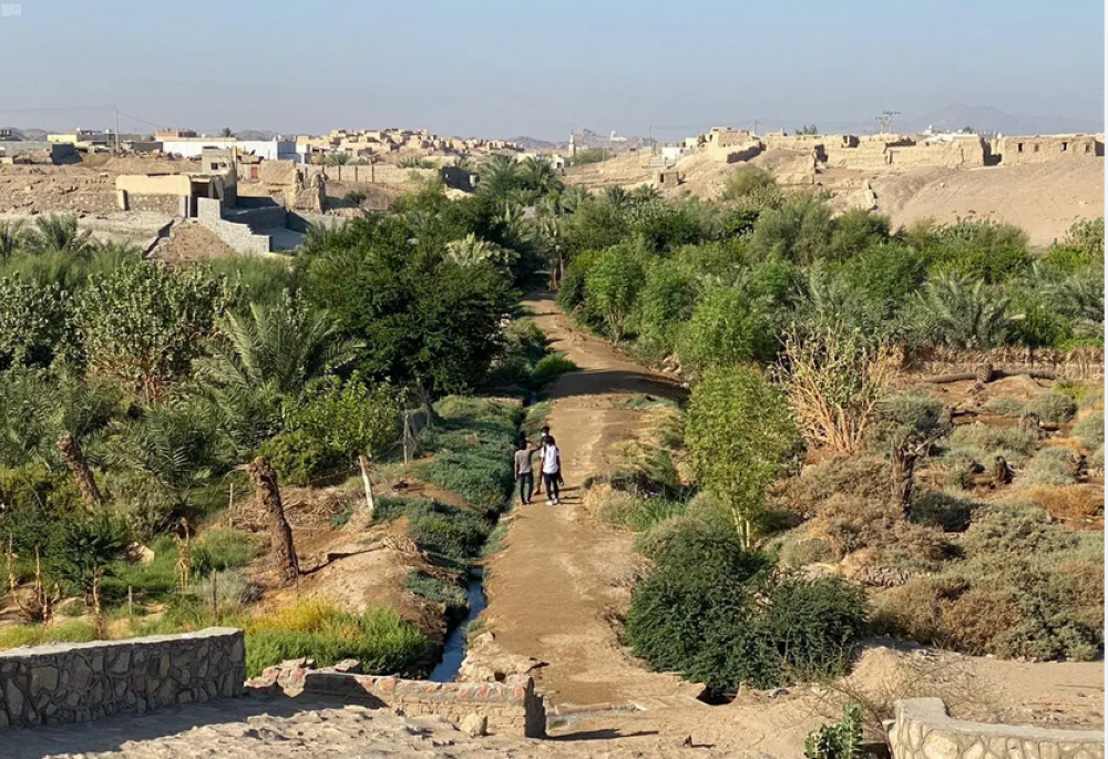 قرية الكُمّل.. حكاية وتاريخ فن المجرور منذ 500 عام