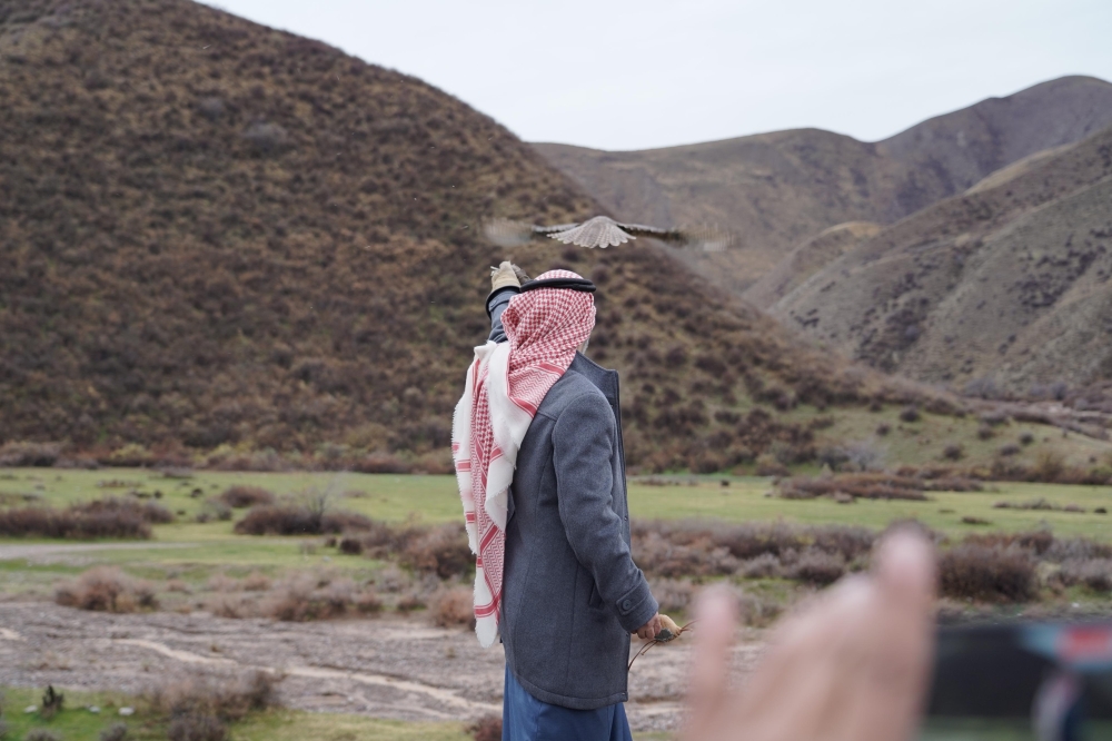 الأول خارجيا.. 'هدد' يطلق عددًا من الصقور في جبال قيرغيزيا