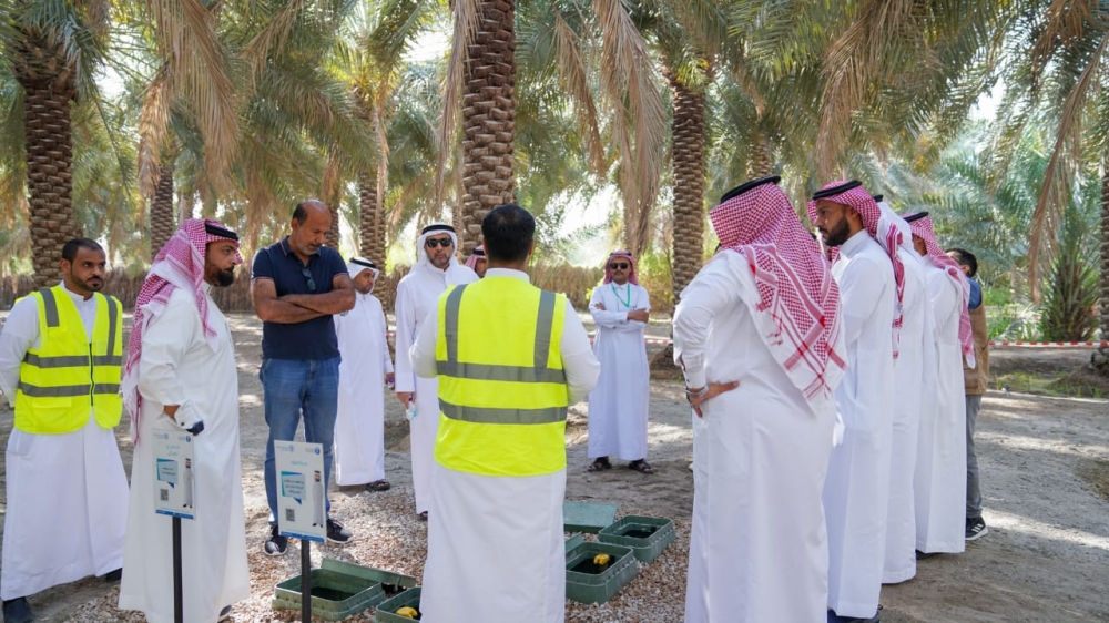 دورة تدريبية بالأحساء لرفع كفاءة الري بالمملكة