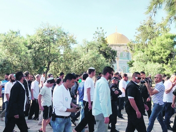مستوطنون خلال اقتحام المسجد الأقصى - أرشيفية